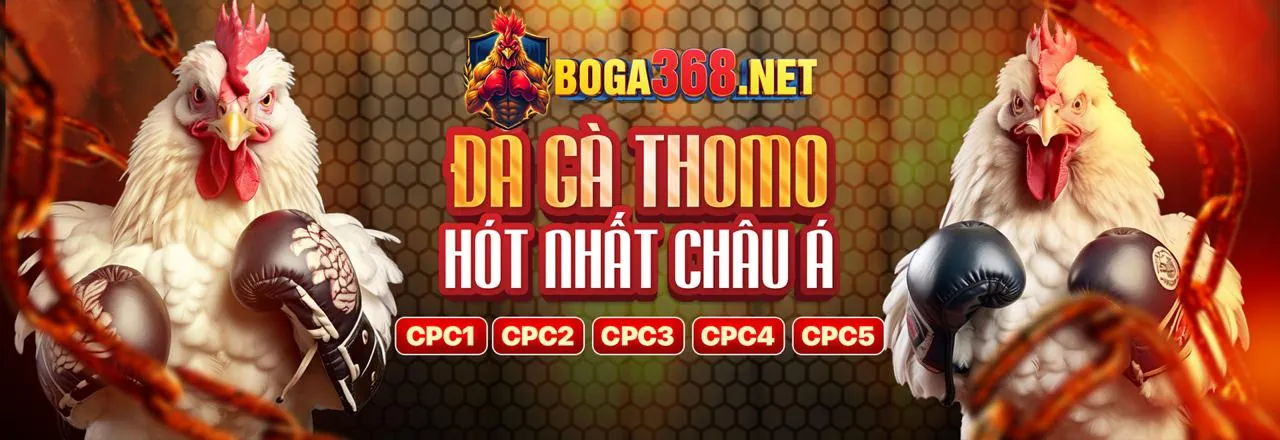 Các phương thức thanh toán an toàn và nhanh chóng tại bet8888
